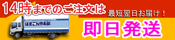 14時までのご注文は即日発送